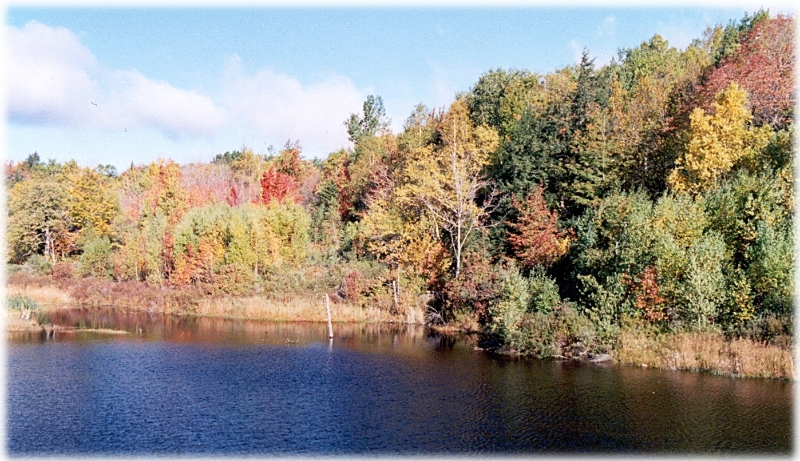 Concord Lake 2, New England America.jpg